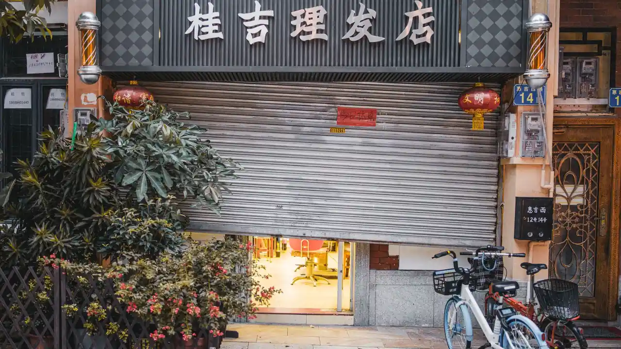 拿我的妹妹做实验2桃子移植